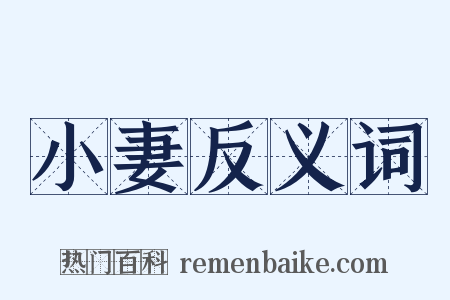 小妻反义词是什么意思的图片